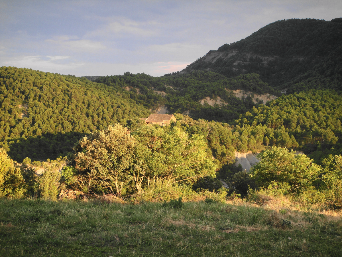Aldea de Pelegrín